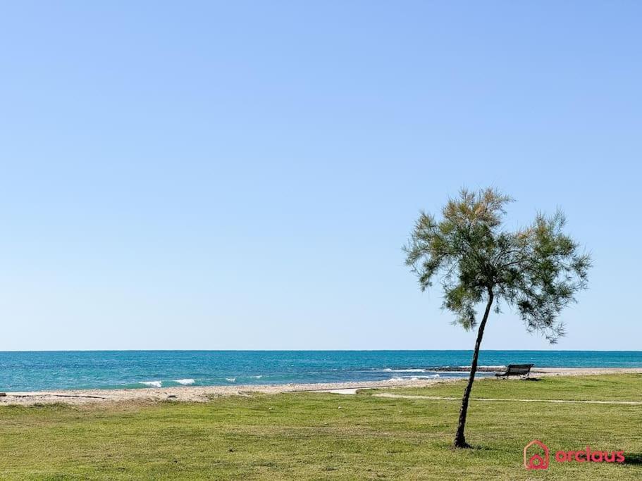 Ferienwohnung El Jardin Oropesa del Mar Exterior foto